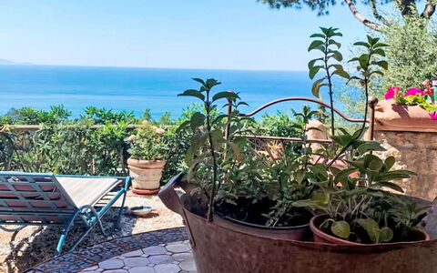 Deborah: House, Shrub, Home, Residential Area, Estate, Cottage, Hacienda, Yard, Shade, Lawn