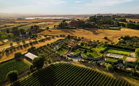 Poderina dei Poggi 12: Landscape, Land Lot, Plain, Plantation, Rural Area, Field, Garden, Agriculture, Bird'S-Eye View, Estate