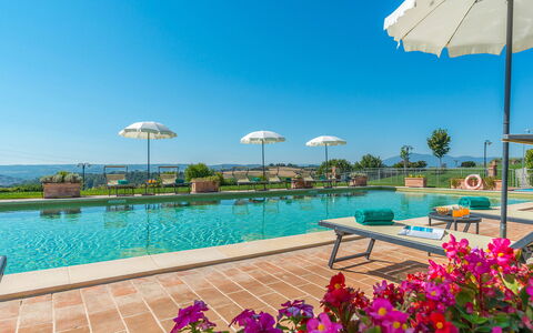 Poderina dei Poggi 12: Swimming Pool, Resort, Resort Town, Plantation, Agriculture, Eco Hotel, Stock Photography