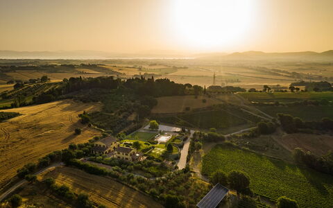 Poderina dei Poggi 12: Landscape, Plain, Field, Land Lot, Rural Area, Plantation, Agriculture, Sunlight, Farm, Bird'S-Eye View