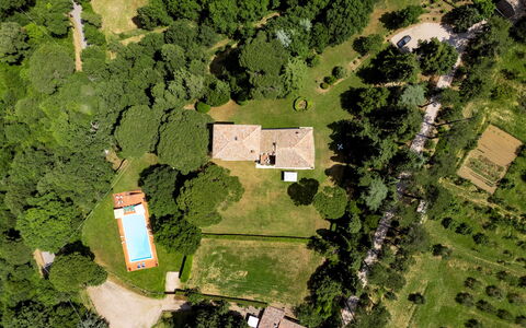 Torre di Paciano 10+2: Tree, Natural Environment, Nature, Landscape, Residential Area, House, Home, Estate, Plain, Land Lot