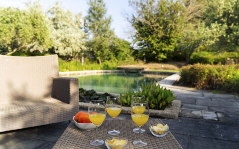 Villa Ninfeo 10+4: Swimming Pool, Outdoor Furniture, Furniture, Garden, Chair, Sunlounger, Outdoor Table, Resort, Landscaping, Shade