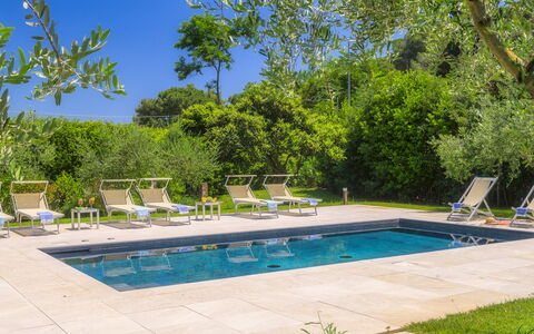Villa Giomoa 8: Swimming Pool, Outdoor Furniture, Furniture, Resort, Garden, Shade, Sunlounger, Chair, Landscaping, Eco Hotel