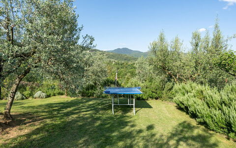 Buca delle Fate 8: Tree, Hill Station, Meadow, Pasture, Evergreen, Ridge, Plantation, Pine Family