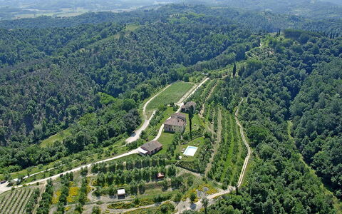 Germagnana 12+2: Natural Environment, Landscape, Bird'S-Eye View, Highland, Hill Station, Plantation, Rural Area, Forest, Aerial Photography, Field