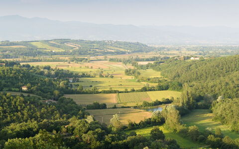Villa Vittoria D'Anghiari 7+3: Green, Natural Environment, Natural Landscape, Landscape, Ecoregion, Grassland, Plain, Highland, Field, Land Lot