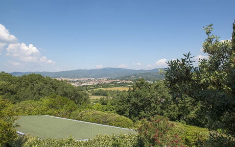 Il Vignale 18+2: Sky, Mountainous Landforms, Green, Nature, Tree, Natural Environment, Leaf, Hill, Vegetation, Mountain