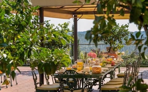 Villa Beltrami 14: Furniture, Table, Outdoor Furniture, Chair, Outdoor Table, Shade, Spring, Eco Hotel, Flowerpot, Garden