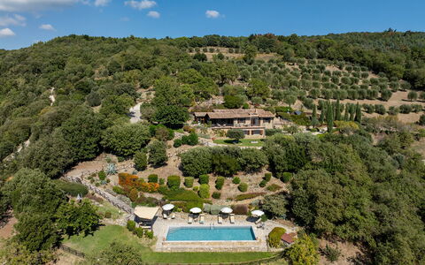 Antiche Pietre 10: Tree, Vegetation, Landscape, Shrub, Plant Community, Rural Area, Estate, Forest, Jungle