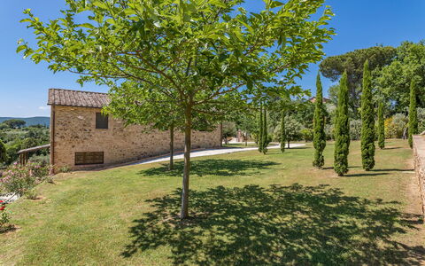 Bossoncina 8+1: Leaf, Garden, Spring, Shade, Woody Plant, Landscaping, Lawn, Backyard, Yard, Walkway