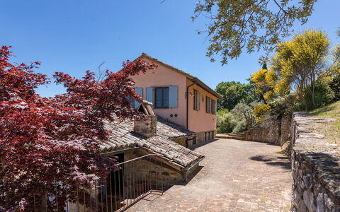 Dalmanuta 8: Wall, Tree, House, Rural Area, Home, Human Settlement, Cottage, Slope, Village, Fence