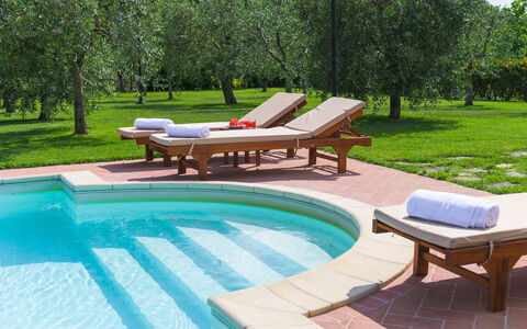Vinciluna 4: Swimming Pool, Outdoor Furniture, Furniture, Resort, Garden, Sunlounger, Shade, Water Feature, Leisure, Landscaping