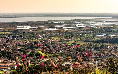 Il Ciliegio sul Lago 6