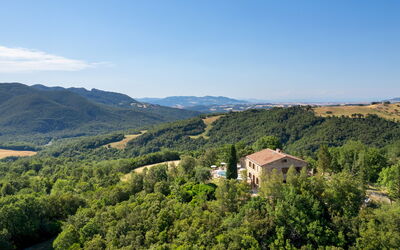 Terripi 10