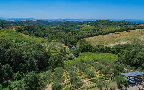 Villa Santa Maria 14: Vegetation, Natural Landscape, Landscape, Rural Area, Plantation, Highland, Land Lot, Agriculture, Plant Community, Field
