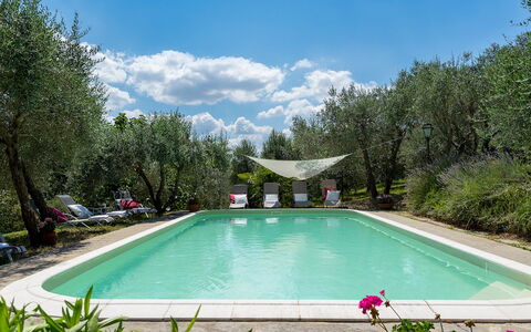 Villa Fiorentini 10