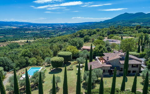 Villa Il Cedro 10+1: Vegetation, Natural Landscape, Landscape, Land Lot, Rural Area, Groundcover, Hill Station, Meadow, Plantation, Estate