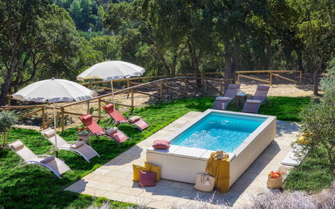 Villa Zaca 6: Swimming Pool, Resort, Outdoor Furniture, Leisure, Garden, Backyard, Eco Hotel, Umbrella, Landscaping
