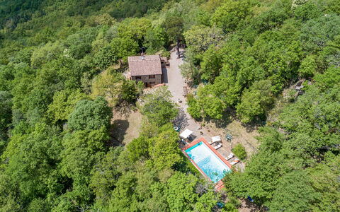 Casa Largnano 6+2: Tree, Natural Environment, Nature, Vegetation, Landscape, Rural Area, House, Forest, Plant Community, Cottage
