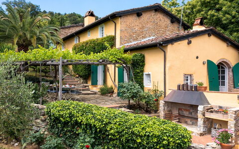 Villa Marraccini 8: Shrub, Garden, Cottage, Shade, Hacienda, Estate, Backyard, Eco Hotel, Landscaping, Yard