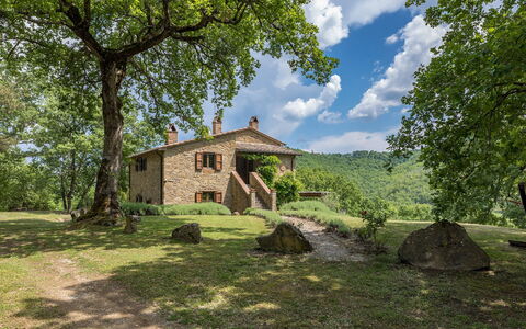 Casale Mollina 6+2: Tree, Grass, Natural Landscape, House, Cottage, Shrub, Rural Area, Home, Estate