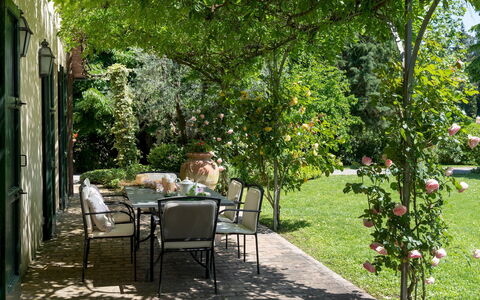 Villa Paesante 8: Green, Leaf, Vegetation, Garden, Shrub, Plant Community, Shade, Spring, Groundcover