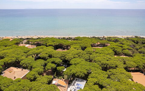 La Villa in Pineta 10: Landscape, Coastal And Oceanic Landforms, Bird'S-Eye View, Coast, Sea, Ocean, Aerial Photography, Bay, Beach