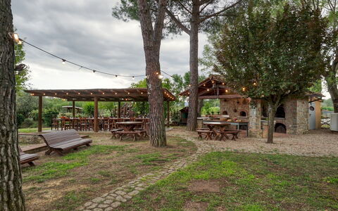 Podere Giardino 16+2: Tree, Wood, Furniture, Shade, Outdoor Table, Outdoor Furniture, Trunk, Picnic Table, Bench, Outdoor Structure