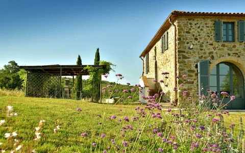 Casa la Pratellaccia 6+2: House, Shrub, Home, Cottage, Farmhouse, Land Lot, Rural Area, Garden, Estate