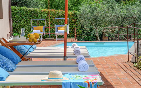Villa Jasmine 8: Swimming Pool, Furniture, Outdoor Furniture, Resort, Flowerpot, Eco Hotel, Houseplant, Chair, Sunlounger, Shade