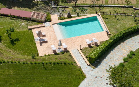 Poggio delle Lumie 6: Swimming Pool, Garden, Lawn, Landscaping, Resort, Plantation, Eco Hotel, Backyard, Artificial Turf, Outdoor Furniture