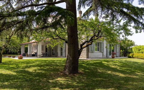 La Casetta 12: Tree, Grass, Leaf, Building, Home, House, Branch, Residential Area, Shrub