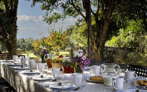 Il Castellare 14: Tableware, Furniture, Table, Tablecloth, Serveware, Drinkware, Garden, Dishware, Outdoor Table