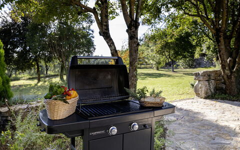 Il Castellare 14: Kitchen Appliance, Barbecue, Food, Cooking