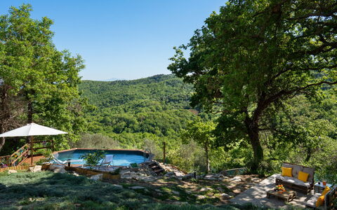 Cottage Dolcevista 4+2: Tree, Swimming Pool, Forest, Leisure, Garden, Shade, Eco Hotel, Jungle, Vacation