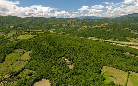 Villa Palazzolo 8: Natural Environment, Natural Landscape, Highland, Landscape, Grassland, Terrain, Forest, Hill Station, Bird'S-Eye View, Plantation