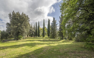 Casa Clara Pool, Casole Elsa, Monti