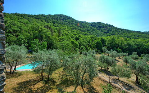 Poggio Conca: Vegetation, Nature, Wilderness, Nature Reserve, Natural Environment, Mountainous Landforms, Tree, Mountain, Biome, Hill Station