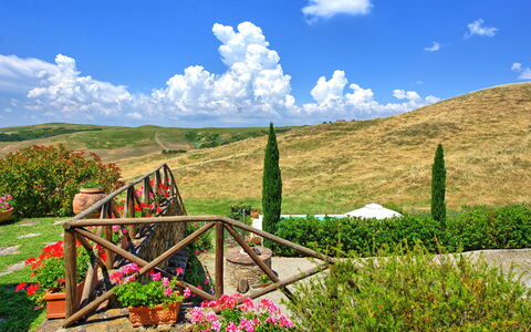 Castelmuzio: Nature, Natural Landscape, Vegetation, Sky, Cloud, Mountain, Grassland, Natural Environment, Wilderness, Grass