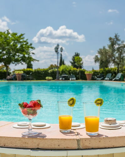 Vinci 815: Water, Cloud, Sky, Property, Plant, Tableware, Swimming Pool, Azure, Tree, Outdoor Furniture