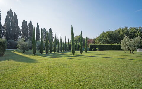 Villa Fontine: Tree, Green, Grass, Natural Landscape, Land Lot, Sport Venue, Grassland, Sky, Biome, Garden