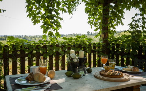 Montelopio: Table, Tree, Plant, Brunch, Interior Design, Houseplant, Breakfast, Furniture, Linens, Finger Food