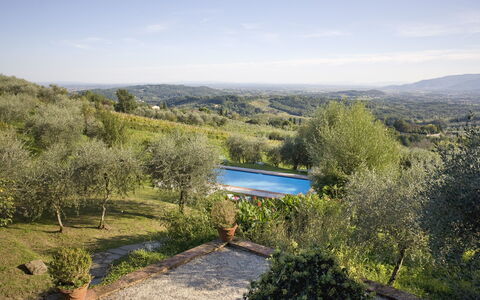 La Loggia 13: Property, Vegetation, Nature Reserve, Wilderness, Sky, Plant Community, Tree, House, Real Estate, Botany