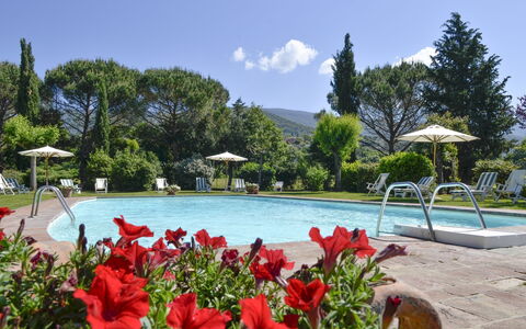 San Pietro: Swimming Pool, Resort, Property, Leisure, Vacation, Botany, Real Estate, Landscape, Tourism, Botanical Garden