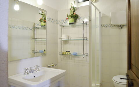 Accommodation:&nbsp;Mimosa