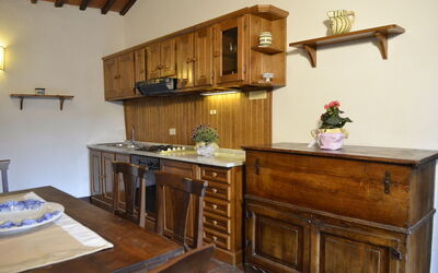 Accommodation:&nbsp;Mimosa