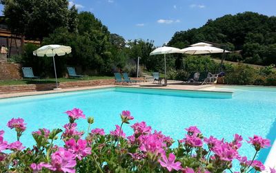 Fattoria Buonconvento - San Giovanni D'Asso, Tuscany, Italy - Leccio