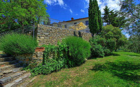 Panzalla: Vegetation, Property, Green, Natural Landscape, Wall, Tree, House, Grass, Sky, Architecture