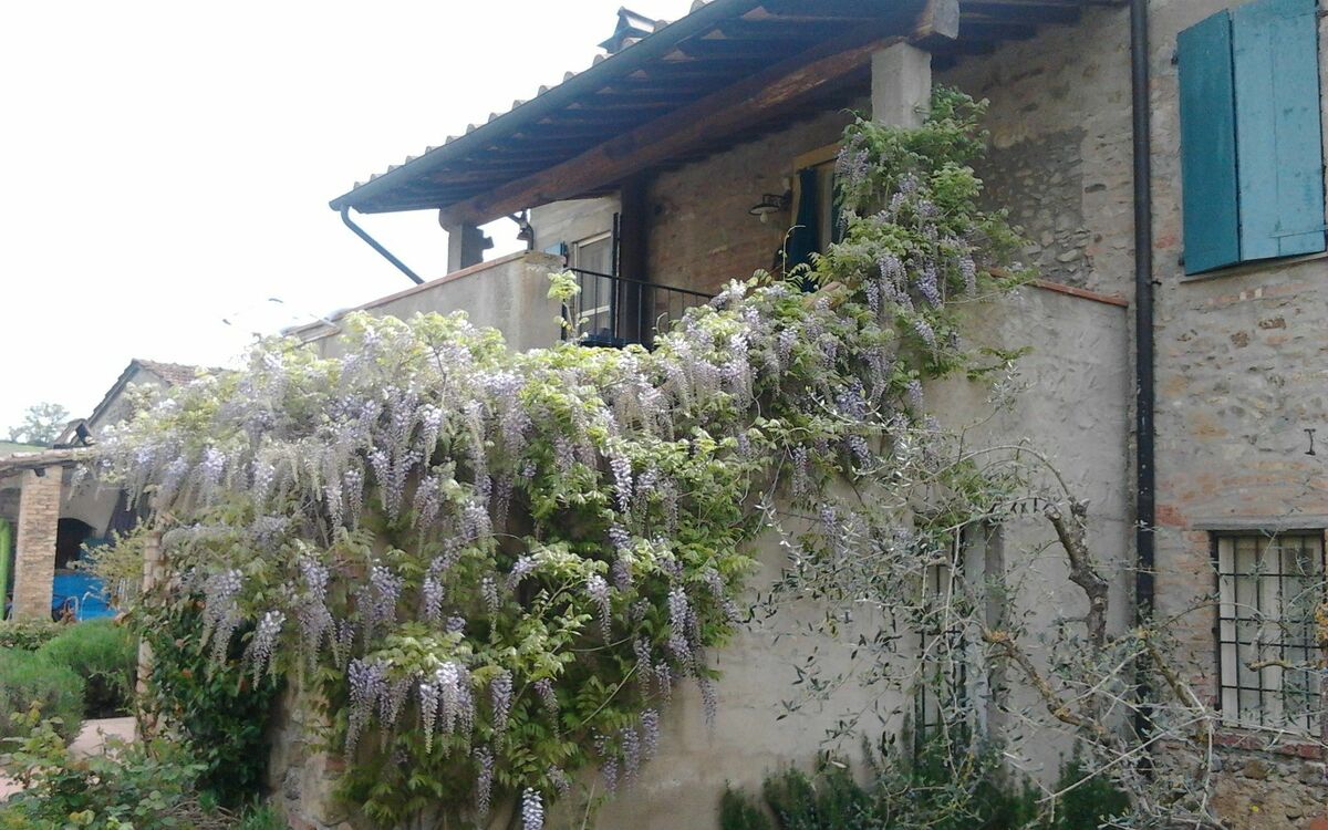 Accommodation:&nbsp;Appartamento Piscina