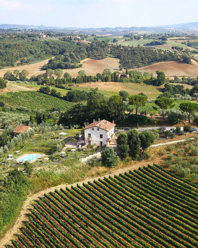 Poggio Olivo 870.2